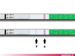 Negative result: small chance of getting pregnant