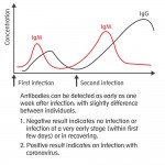 Coronatest Rapid Test for Covid-19