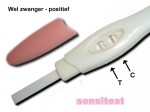 Pregnancy test: 2 lines you`re pregnant