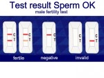 Clear result according to international standards